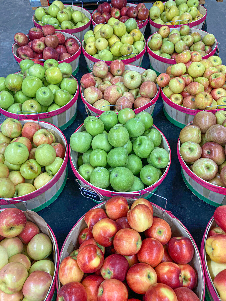 All the apple varieties... by thewatersphotos