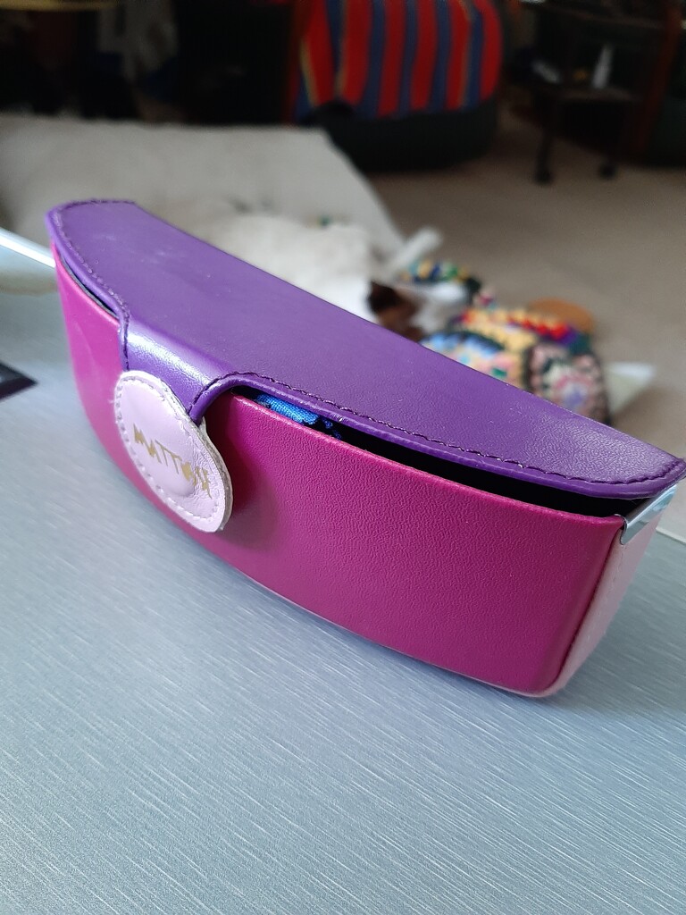 Glasses Case by mozette