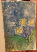 30th Sep 2024 - dandelions 