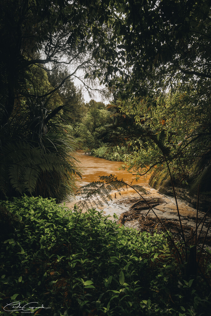 Waikaretu Stream by yorkshirekiwi