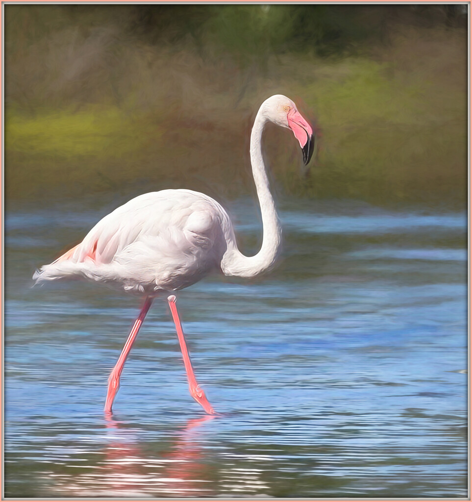 Happy Flamingo Friday by ludwigsdiana