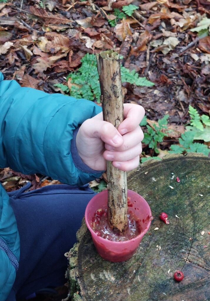 Crushing hawthorn berries to make paint by samcat