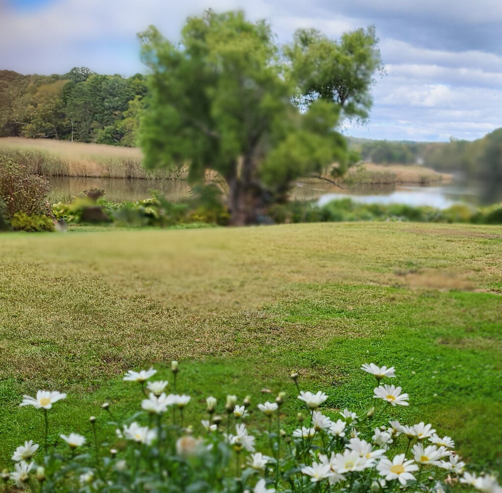 View from outdoor café by paulabriggs