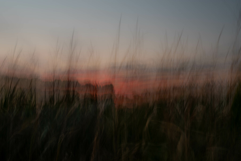 Sunset in the corn by darchibald