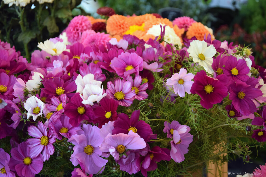 At the market by parisouailleurs