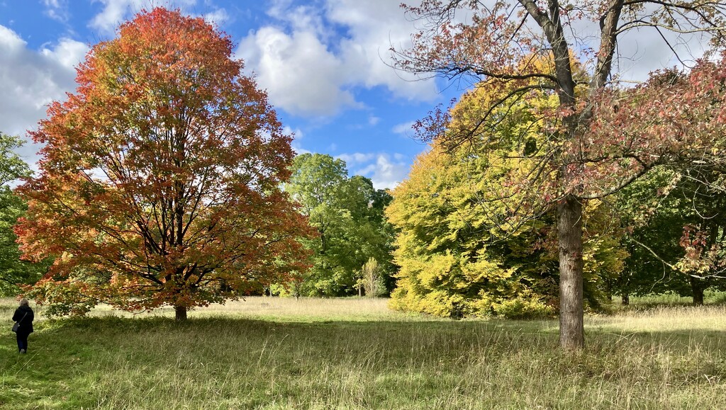 Autumn at Anglesey Abbey  by foxes37