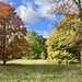 Autumn at Anglesey Abbey 