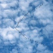 4th Oct 2024 - Migration 