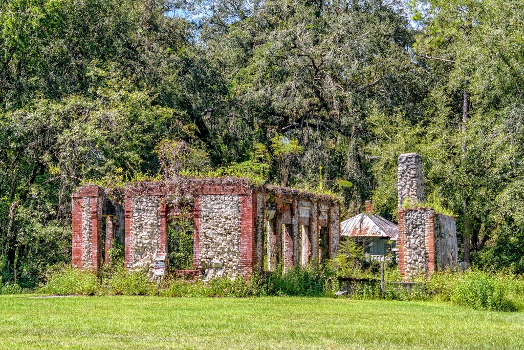 Abandoned Florida by danette