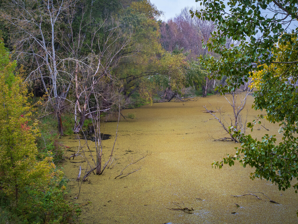 An autumn by haskar