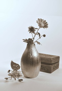 4th Oct 2024 - Silver Sepia