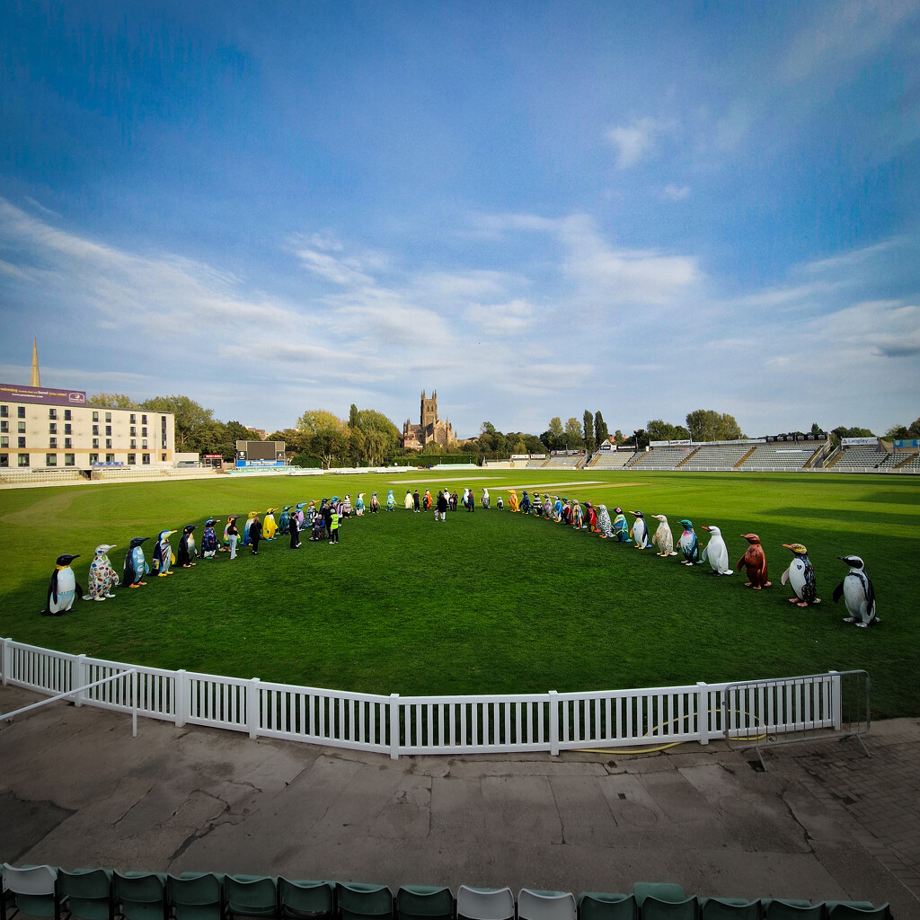 Farewell to the Waddle of Worcester  by andyharrisonphotos