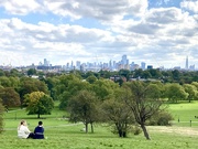 4th Oct 2024 - Primrose Hill