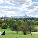 Primrose Hill