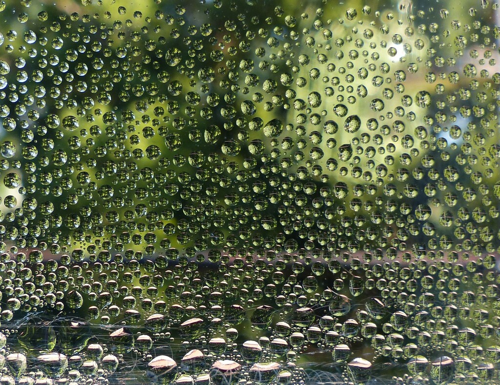 condensation on a chilly morning by jokristina