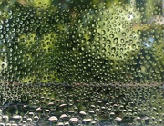 4th Oct 2024 - condensation on a chilly morning