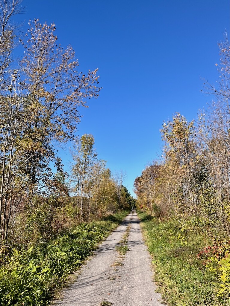 Old Rail Line by sunnygreenwood