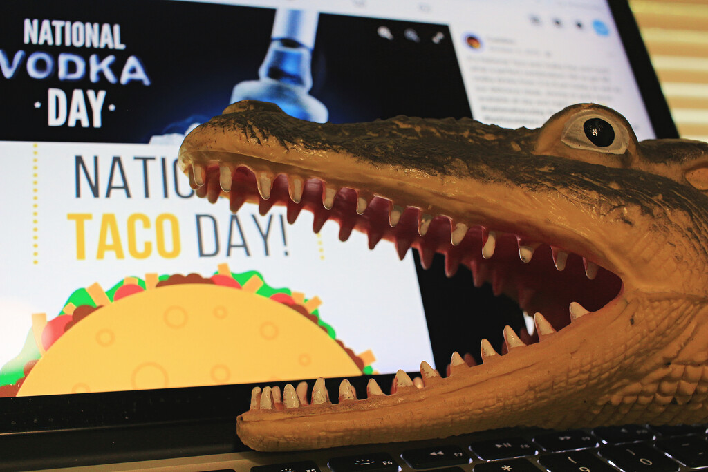 Croctober 4 - National Taco/Vodka Day by juliedduncan