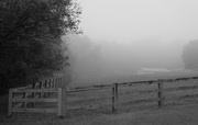 4th Oct 2024 - Misty Morning 