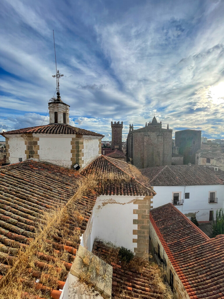 Rooftop view by christinav