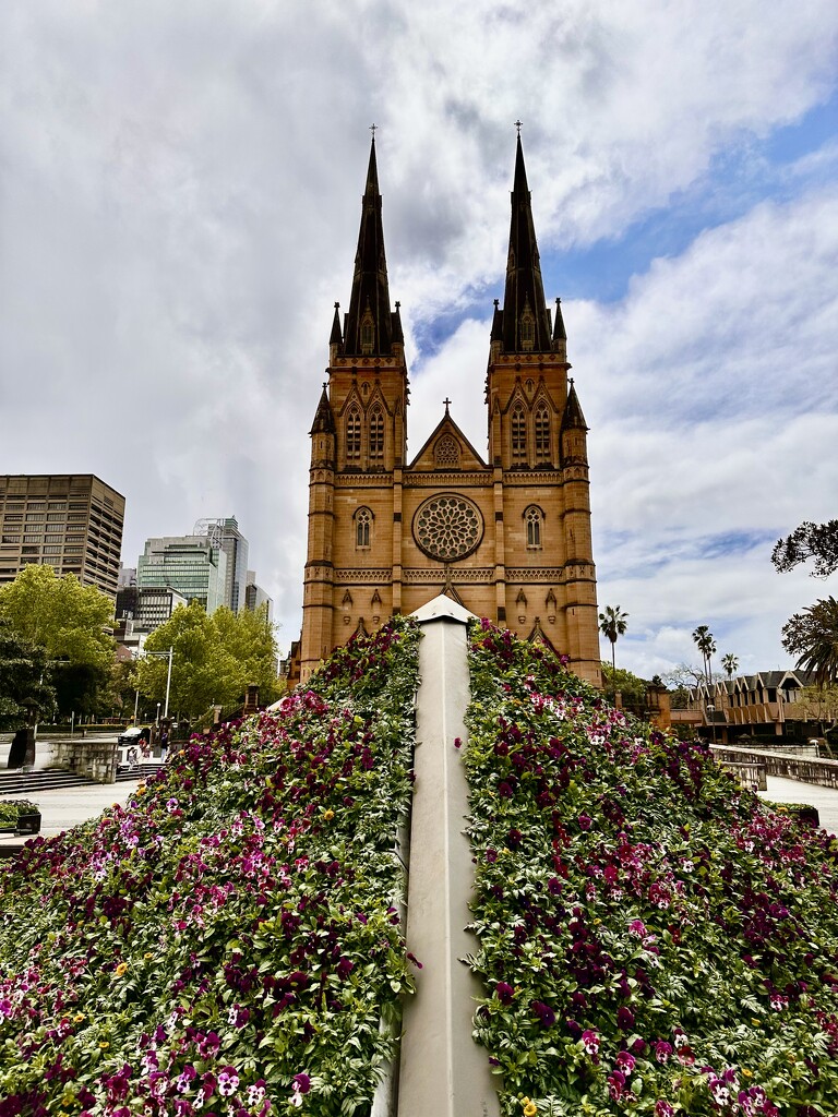 St Marys Cathedral by kjarn