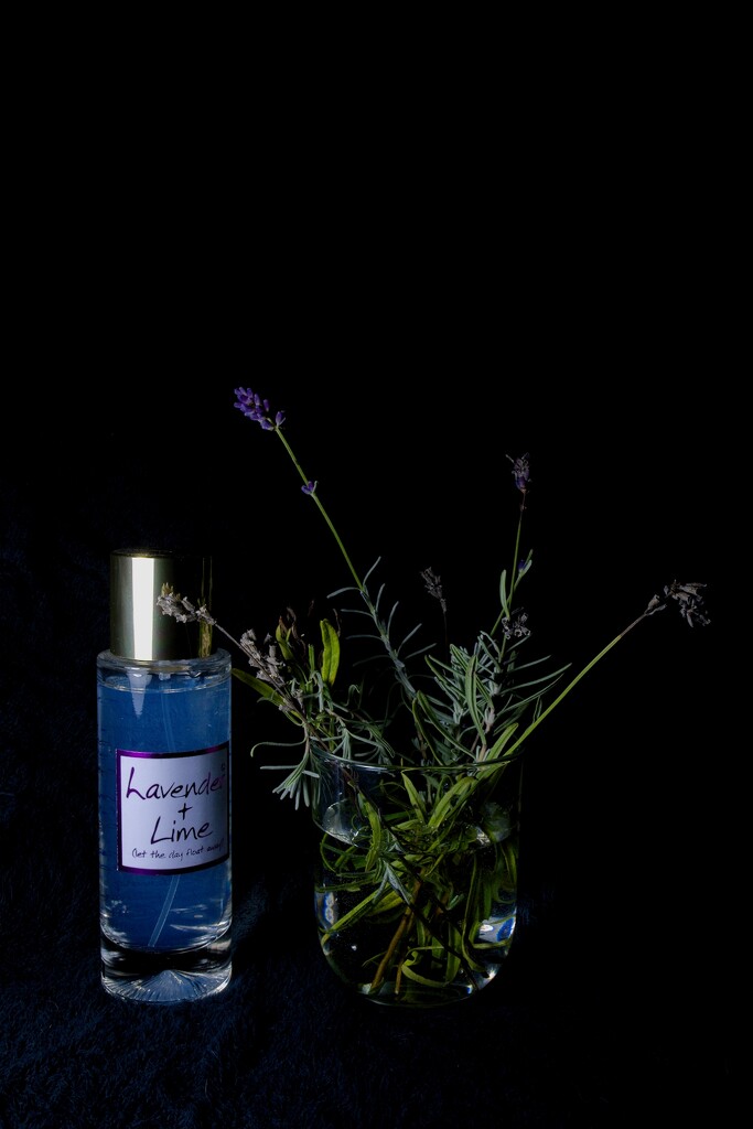 Literature Project #32 Anon 'Lavender's Blue'. by allsop