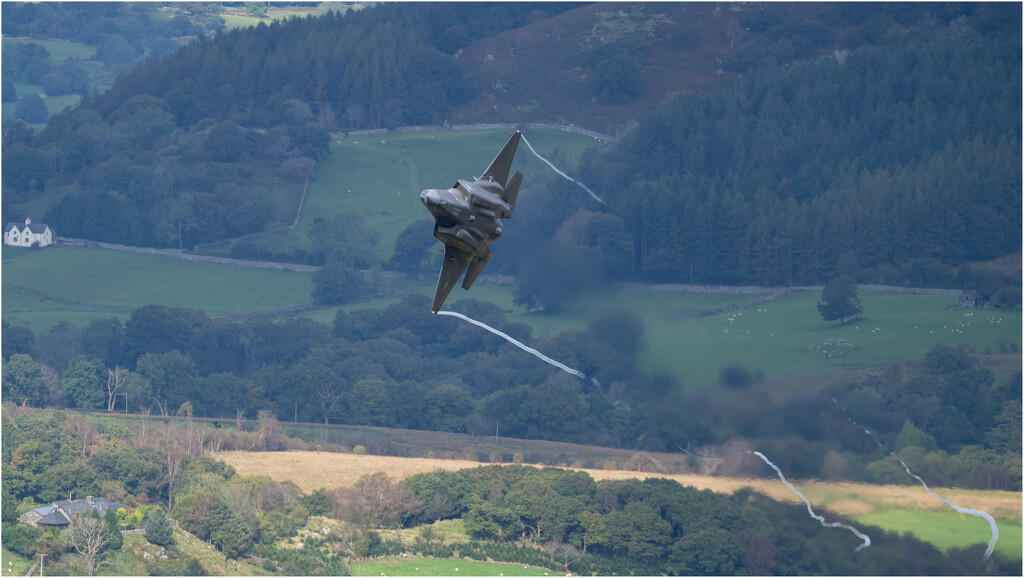 F35 in the Mach Loop  by clifford