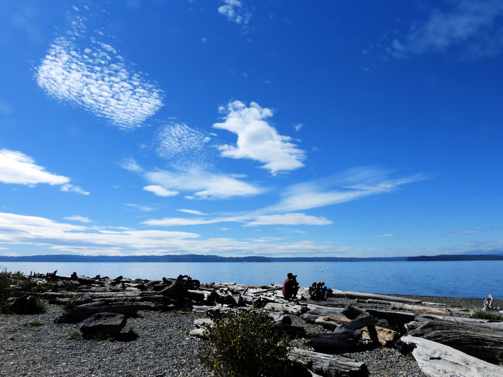 Orca Watching by seattlite