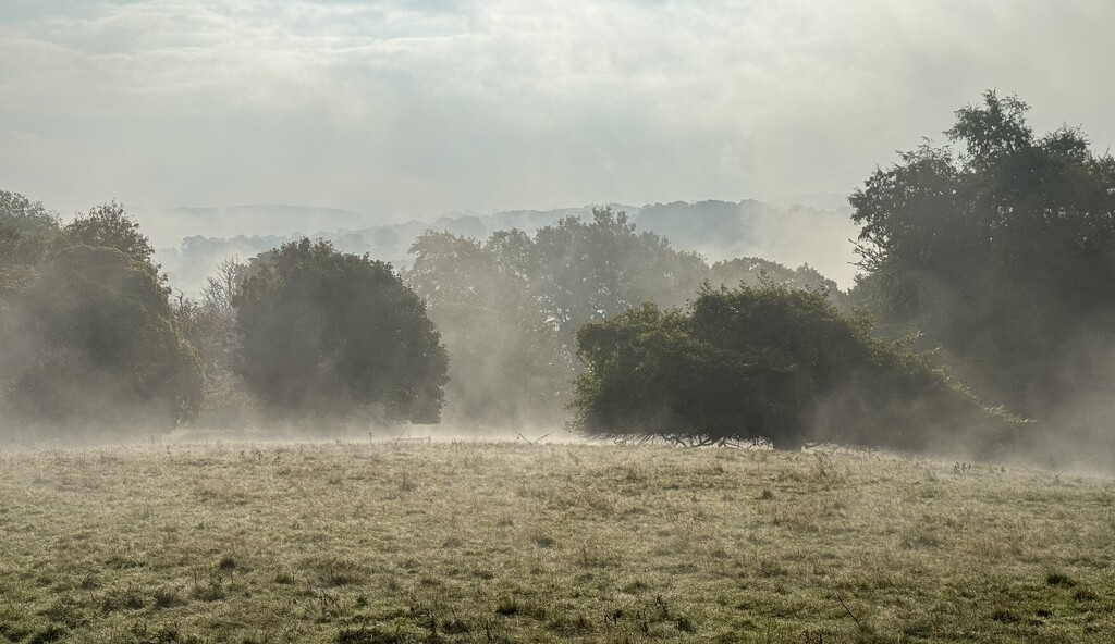 A Misty Autumn Morning by susiemc