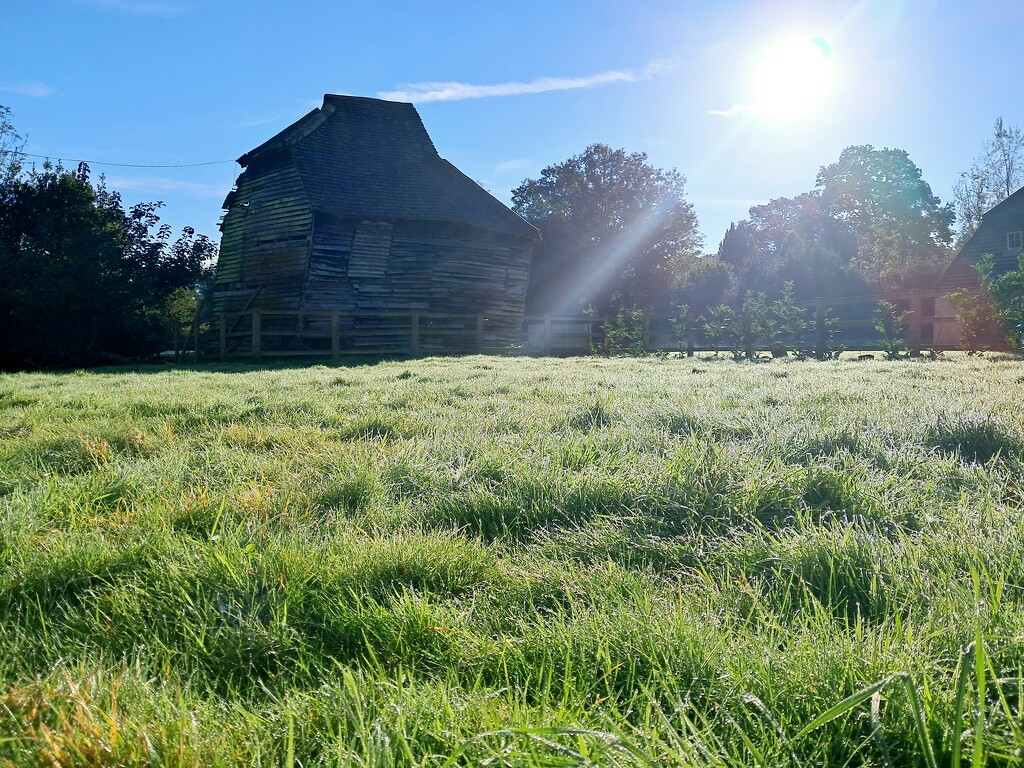 Morning dew by jackspix