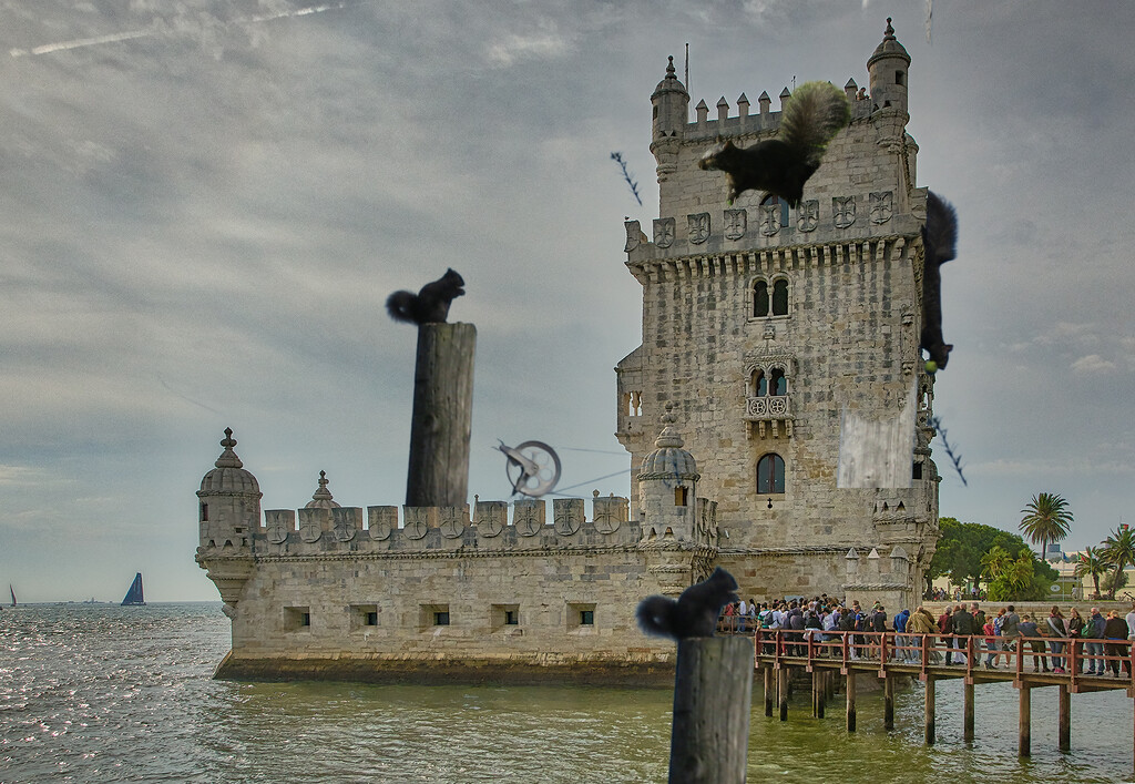 Crowds Rush to See Giant Squirrels! by spanishliz