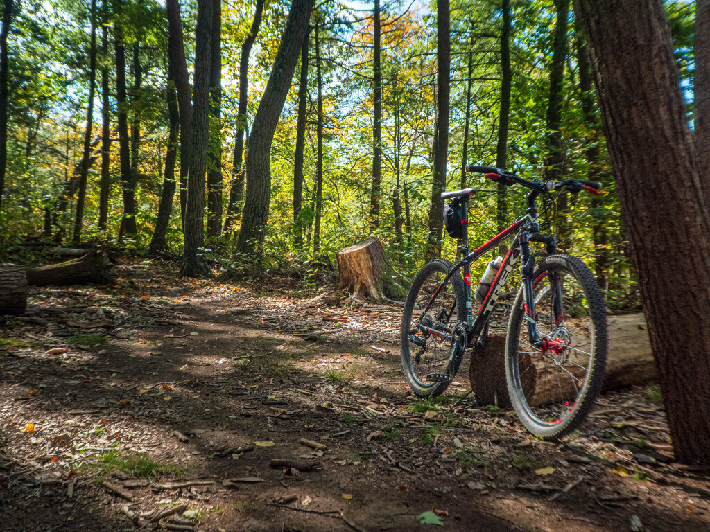 From today's bike ride. by batfish