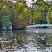 Hartsholme Lake