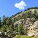 Smallish crest @ Alluvial Fan - RMNP