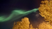 4th Oct 2024 - Aurora ribbon 