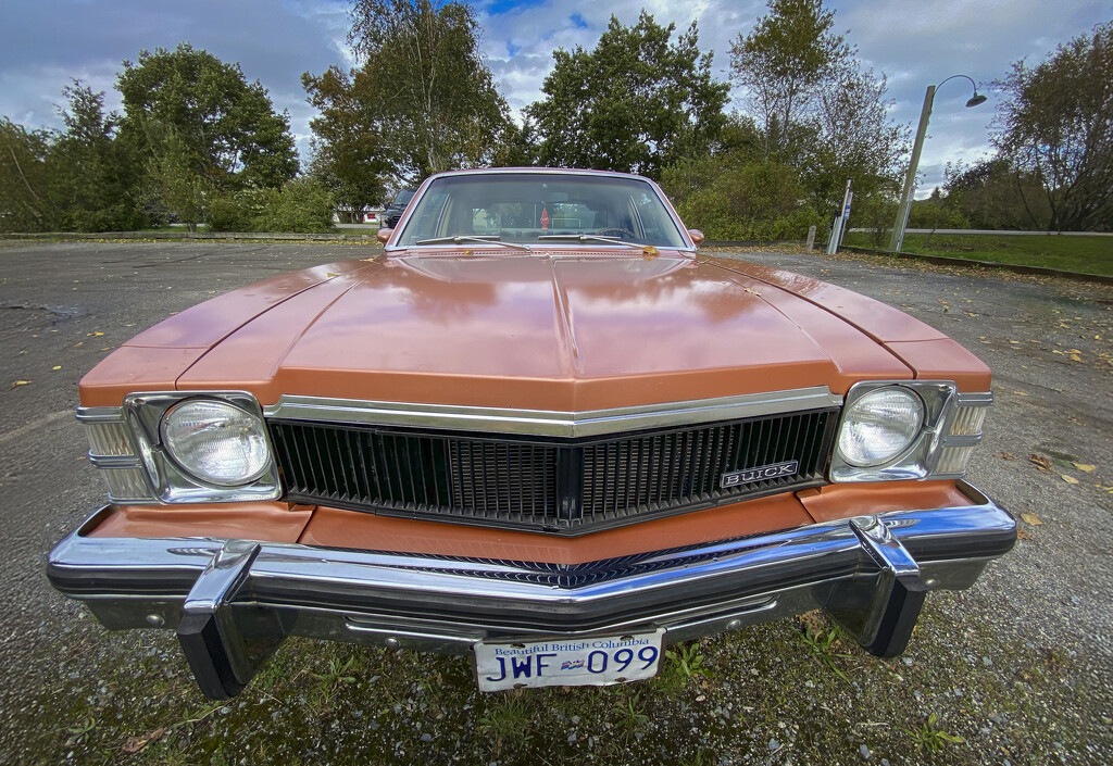 1975 Buick Skylark by cdcook48