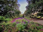5th Oct 2024 - Hampton Park and Mexican bush sage