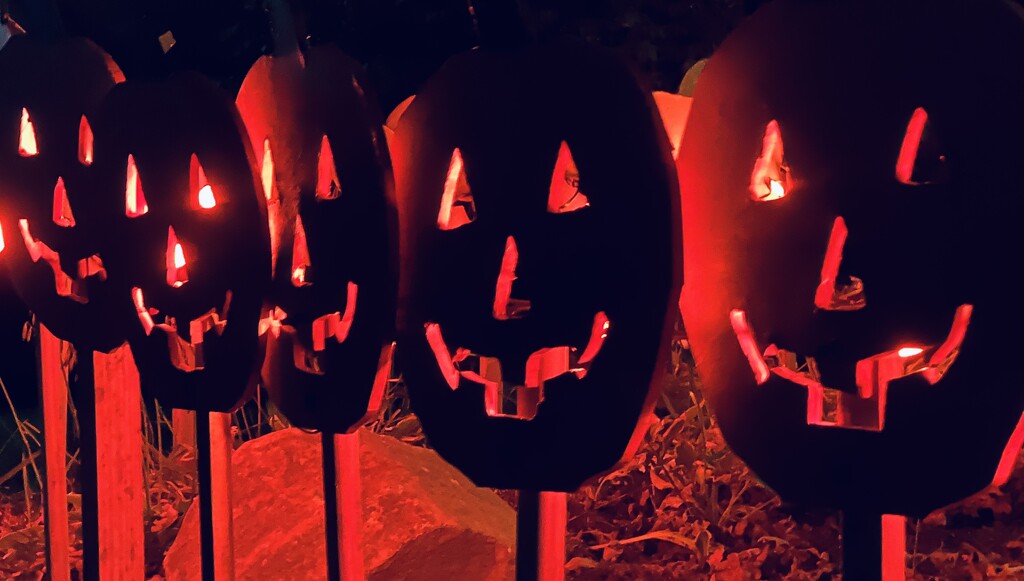 Menacing pumpkins  by sjgiesman