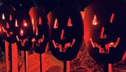 5th Oct 2024 - Menacing pumpkins 