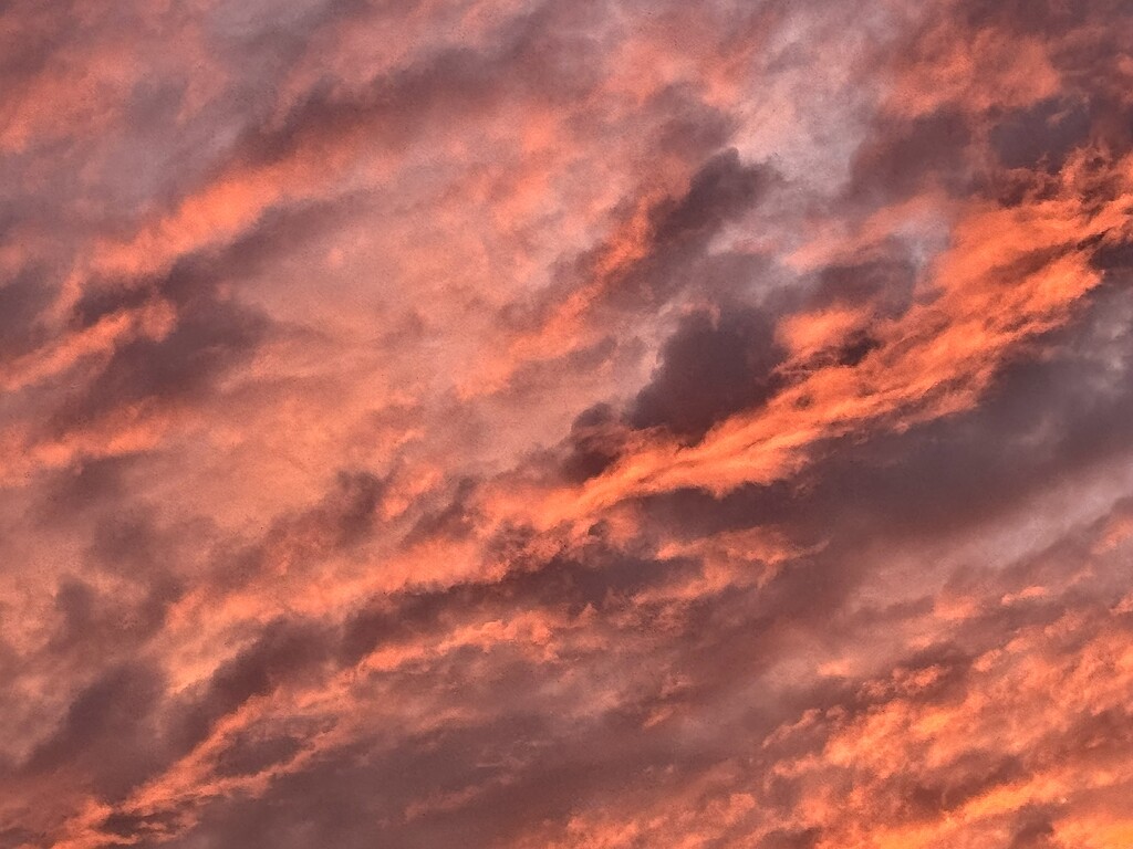 Sunset from my 4th floor balcony the other day by congaree