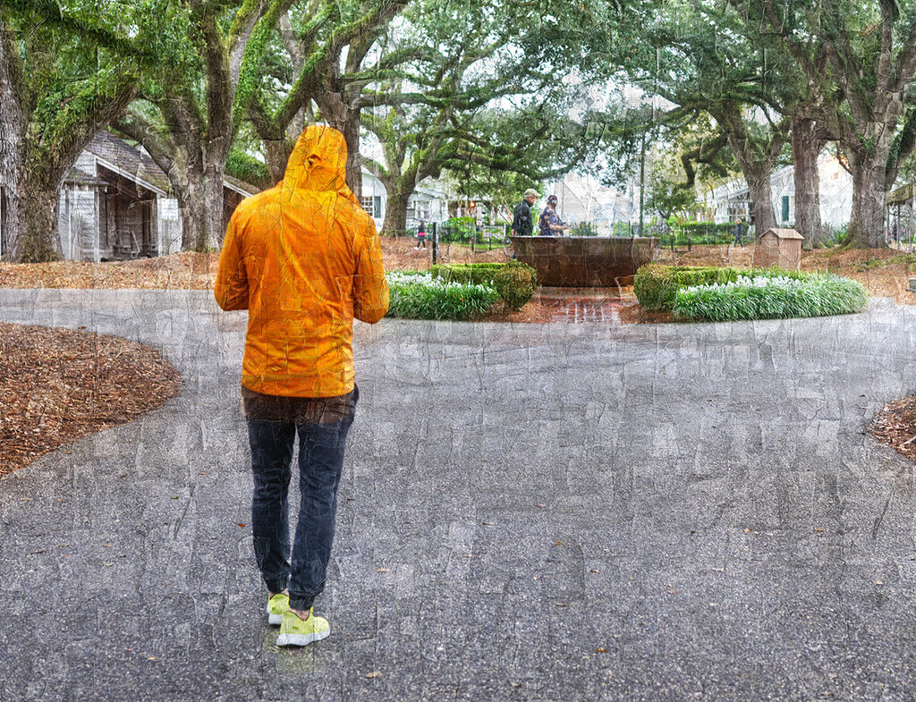 Rainy Day Louisiana by gardencat