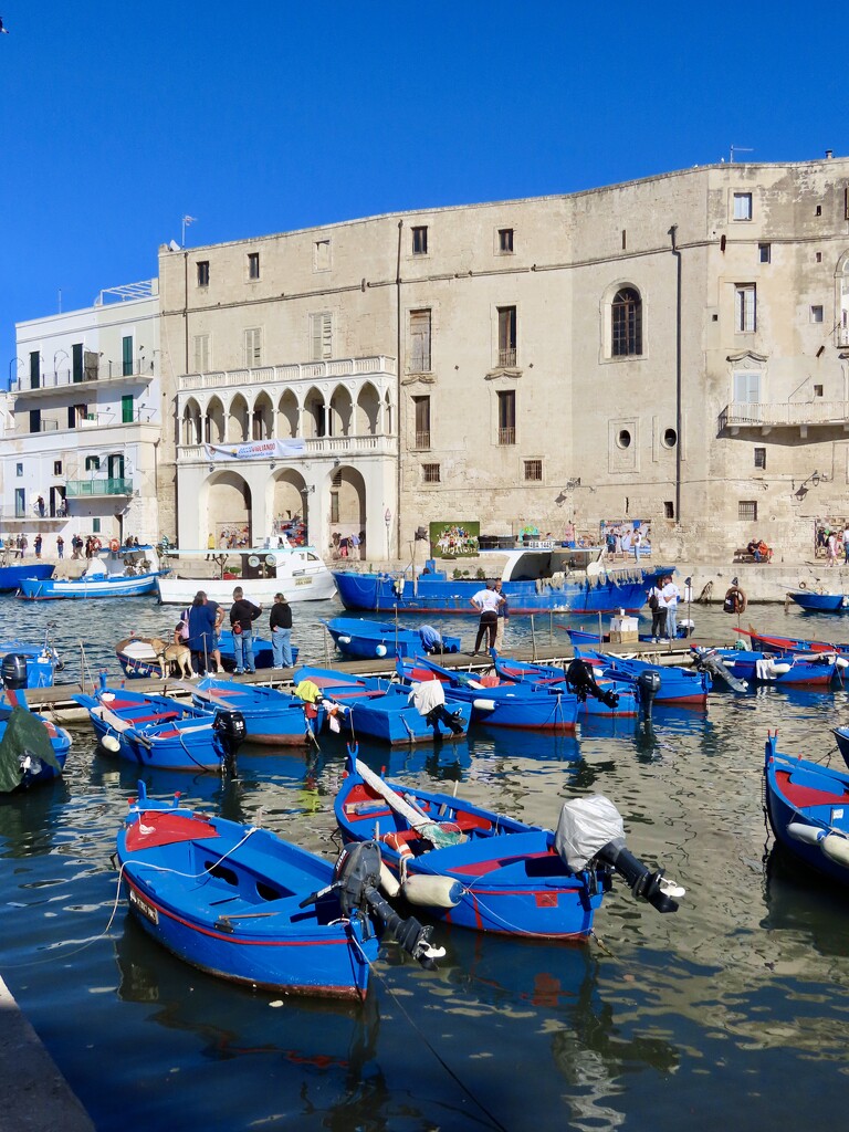 Magical Monopoli. (Puglia) by orchid99