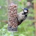 A Quick Snack Between the Showers