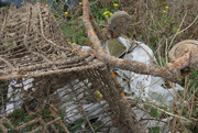 6th Oct 2024 - abandoned shopping cart