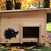 Hedgehog house