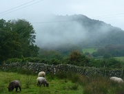 30th Sep 2024 - Misty Hills 