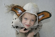 12th Oct 2023 - Hyena 