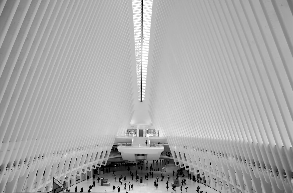 Inside the Oculus by blueberry1222