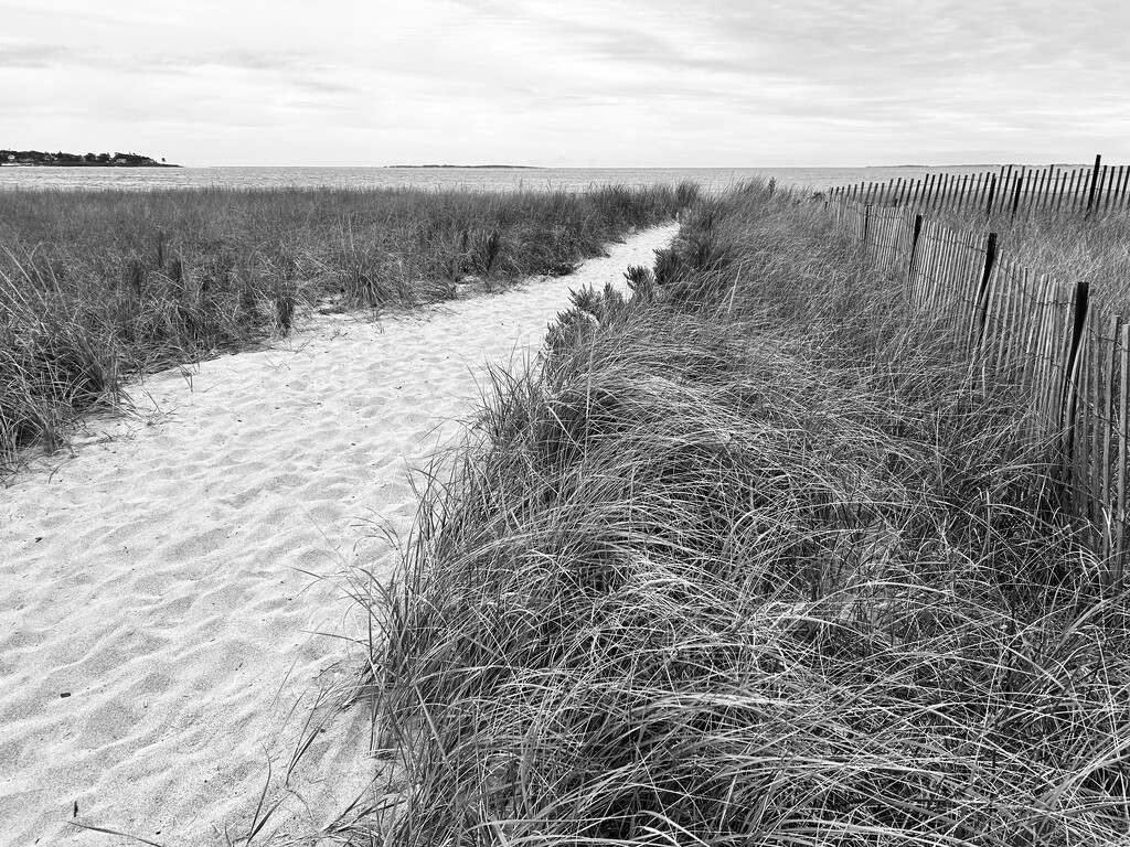 Beach in the fall by fperrault