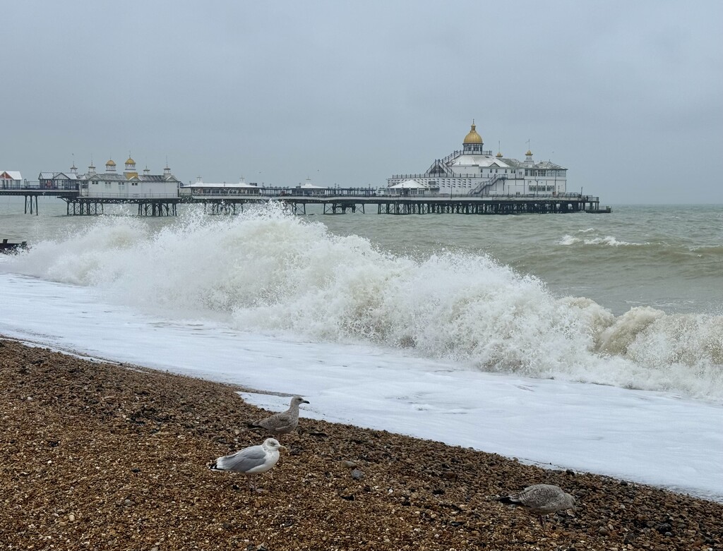 Eastbourne Pier by jeremyccc